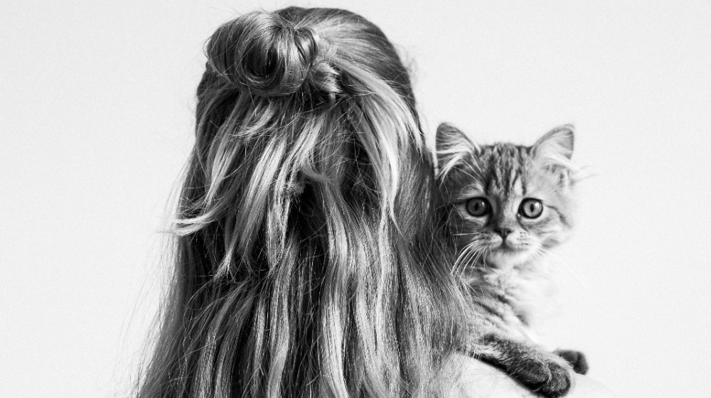 Οι άνθρωποι που έχουν γάτες είναι εξυπνότεροι - 5 χαρακτηριστικά δείγματα της ευφυΐας τους